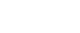 rhino_auto_glass